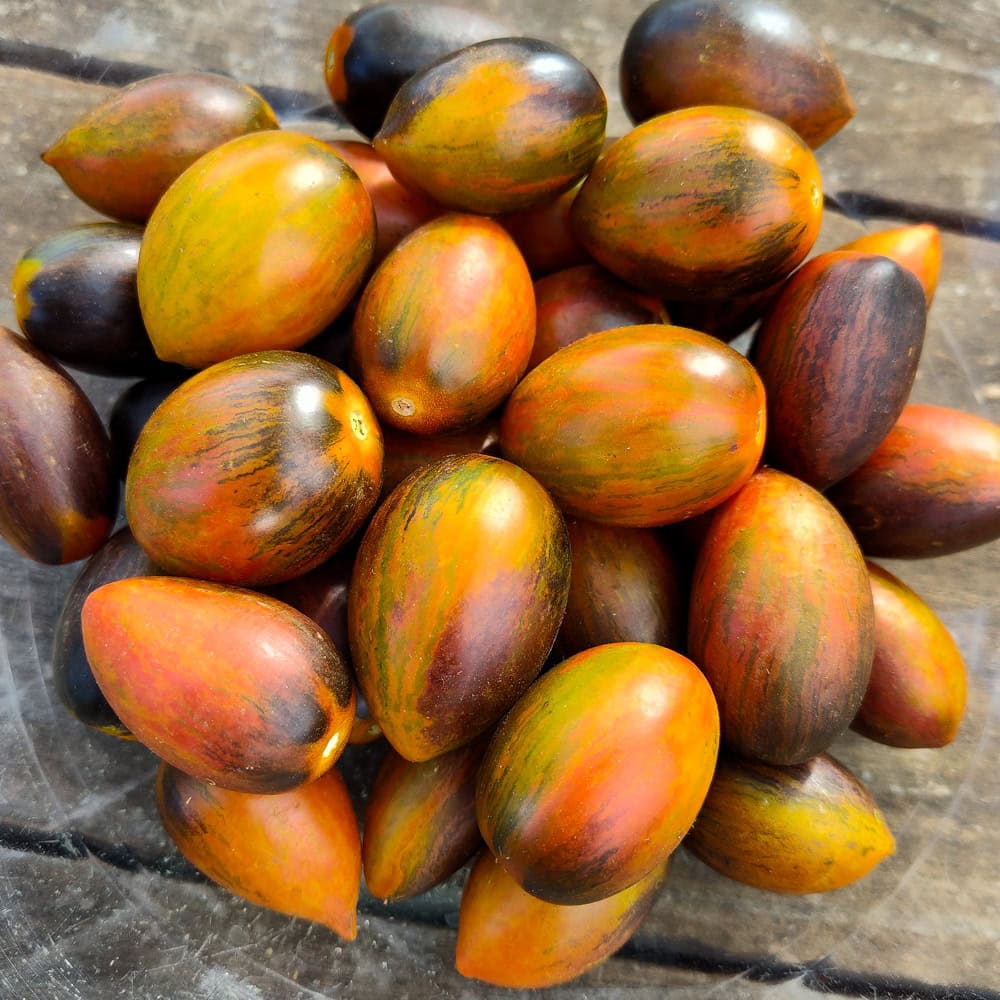 Organic Magic Bullet Tomato Seed