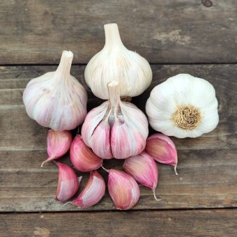 Organic Rosso di Sulmona Garlic Seed