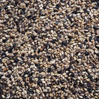 Organic Northern Sesame Supergroup Seed