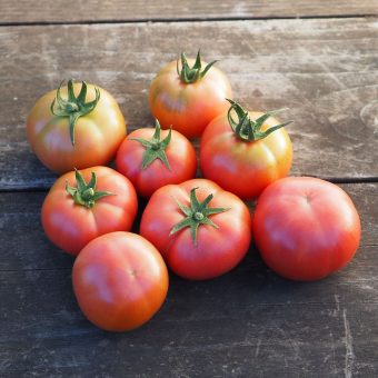 Organic Montserrat tomato seed