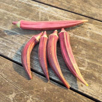 Organic Yuma Red Okra Seed