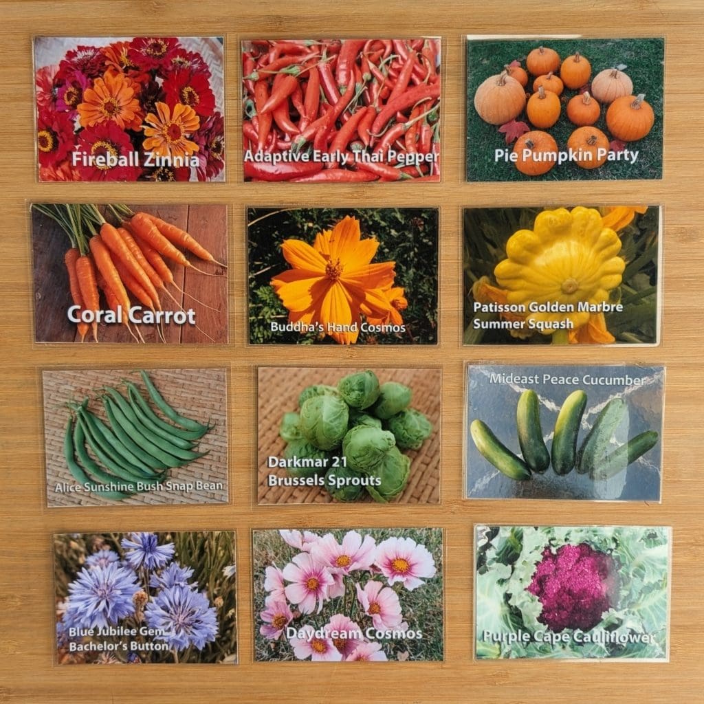 Twelve example of variety photo cards for seed racks displayed in a grid pattern.